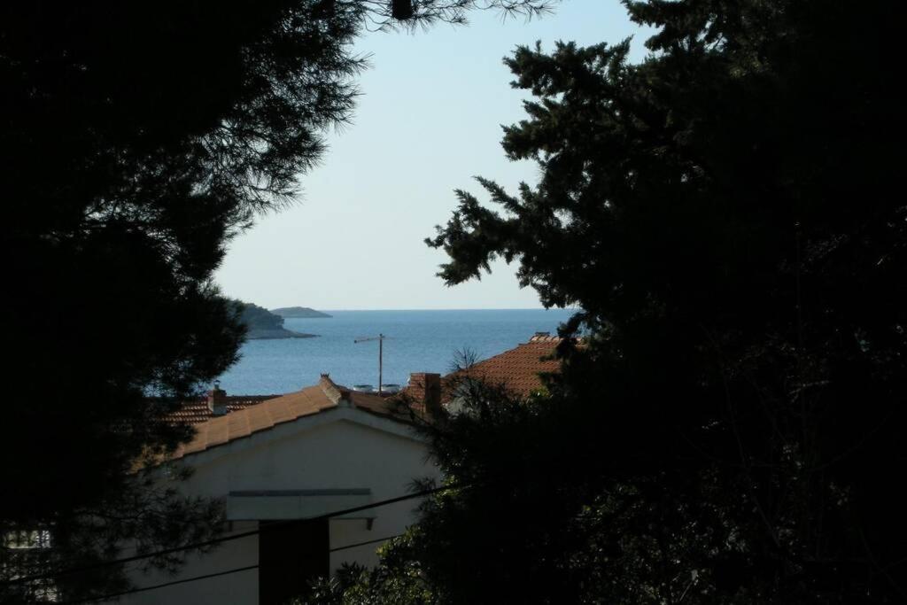 Whole villa in Primošten Esterno foto